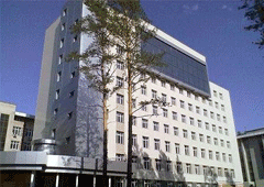 2010